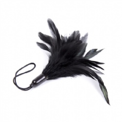 Black Feather 15cm