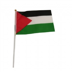 Palestine Hand Flags