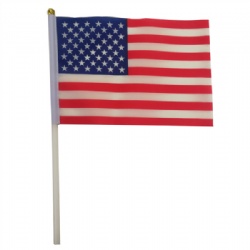 American Hand Flags