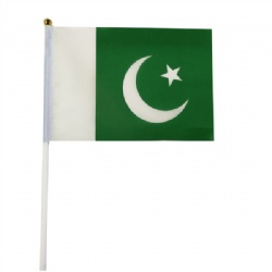 Pakistan Hand Flags