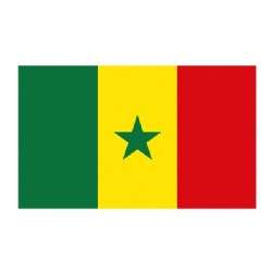 Senegal Flags 90*150CM