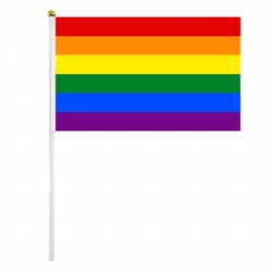 Pride Flags 14*21cm