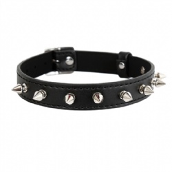 Black Leather Collar Spiked